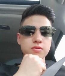 孤獨的狼l605